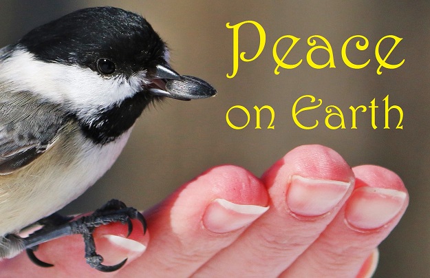 Peace on Earth