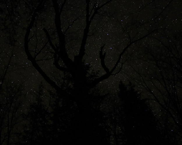 How the Stars are Held