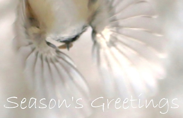 2020 Christmas card 2