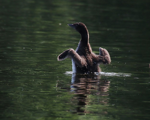 Preparing for Takeoff